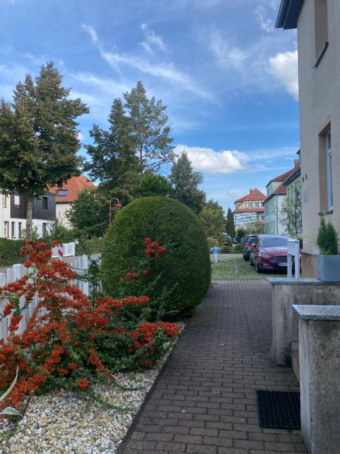 Simply Nice Appartment Borna Exterior photo
